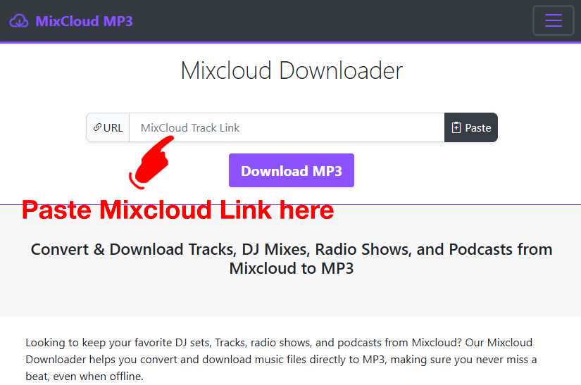 Paste Mixcloud track URL into the input box on MixcloudMP3.com and click Download
